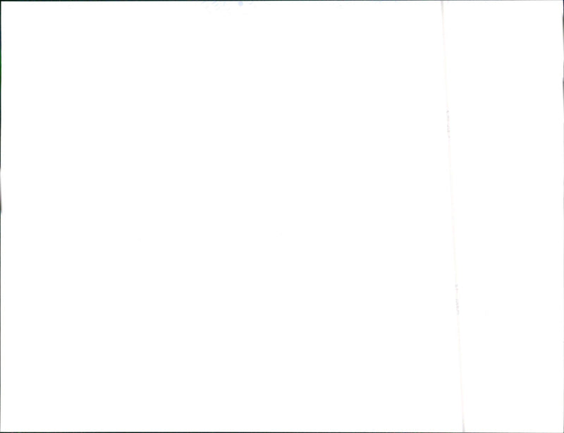 1999 Seat - Vintage Photograph