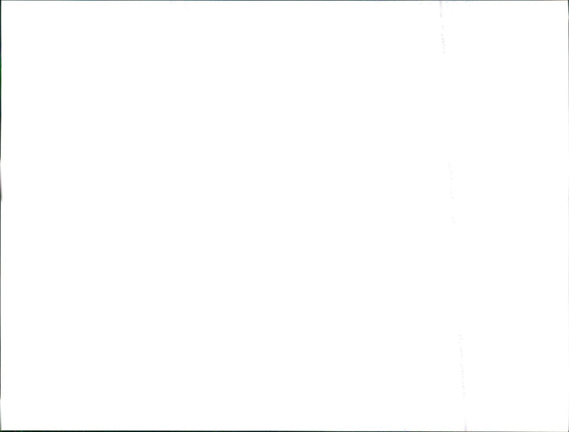 1999 Seat - Vintage Photograph