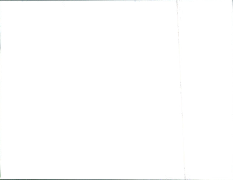 1999 Seat - Vintage Photograph