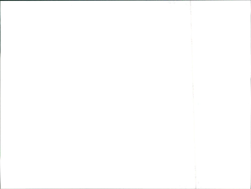 1992 and 1999 Seat logo - Vintage Photograph