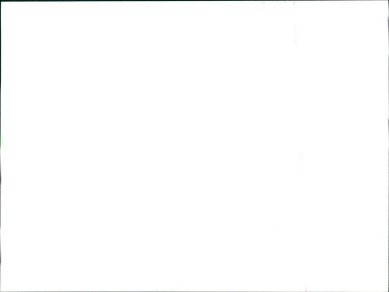 1999 Seat Cupra - Vintage Photograph