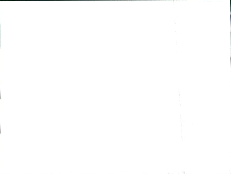 1999 Seat Alhambra - Vintage Photograph