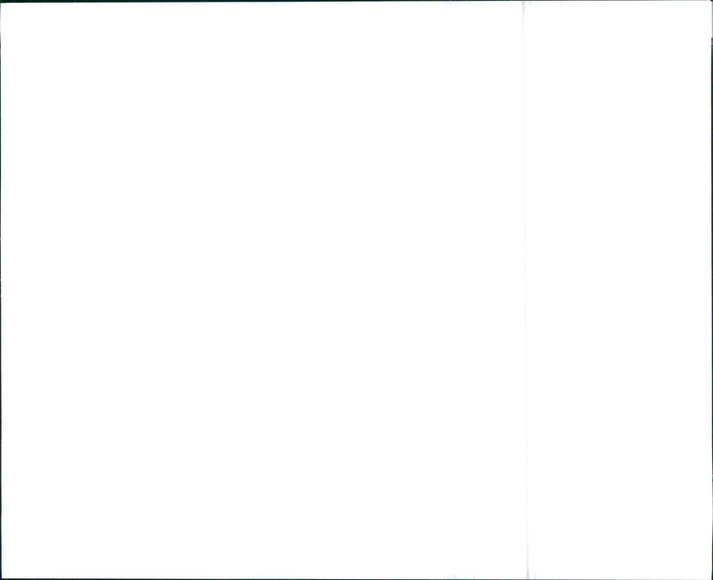 1993 Subaru Loyale Wagon - Vintage Photograph