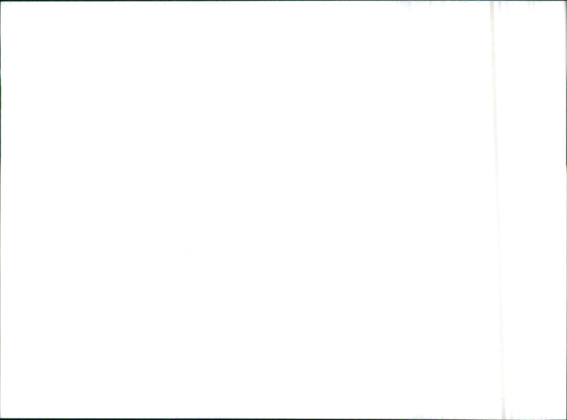 Daihatsu - Vintage Photograph