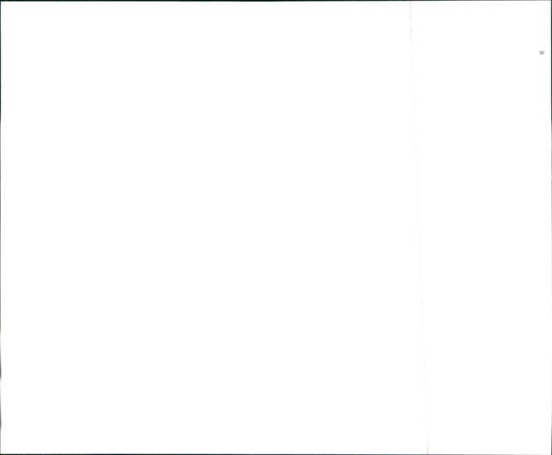 1998 Infiniti I30t - Vintage Photograph