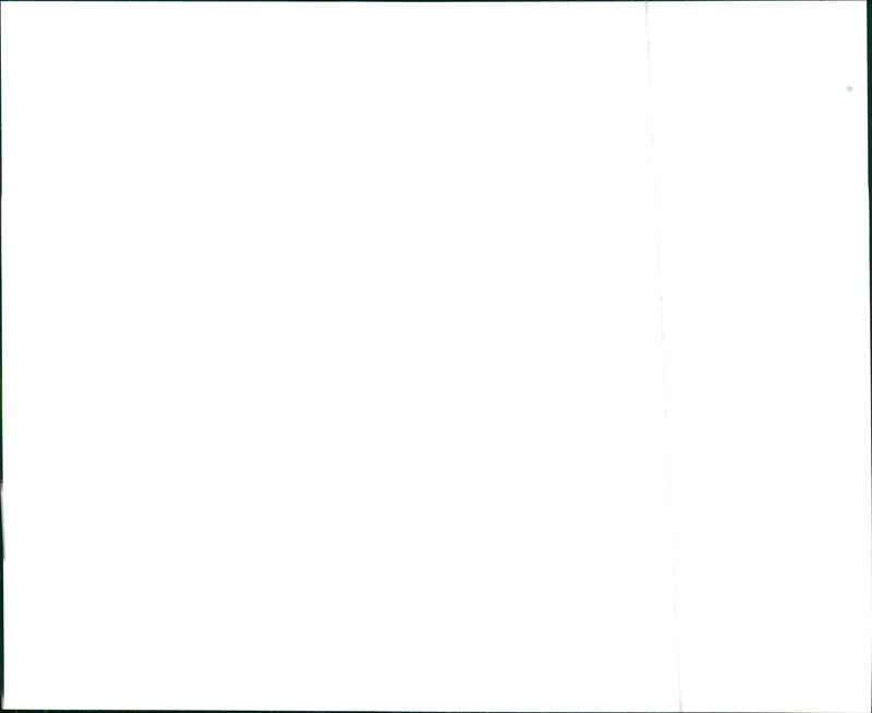 1998 Infiniti I30t - Vintage Photograph