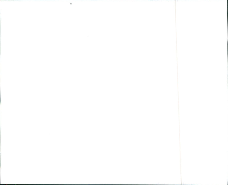 1993 Mitsubishi Diamante ES and 1993 Mitsubishi Diamante LS - Vintage Photograph