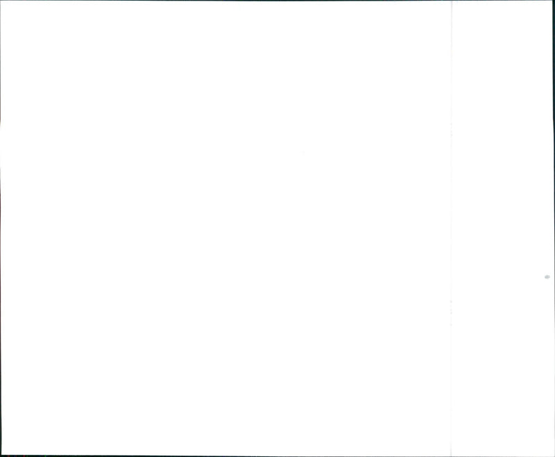 1997 Acura 3.2TL - Vintage Photograph