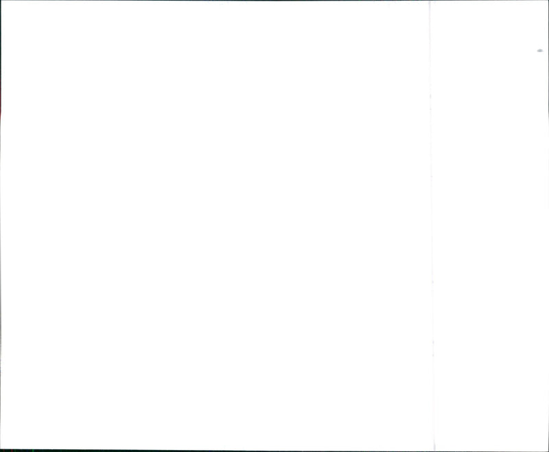 1997 Acura NSX - Vintage Photograph