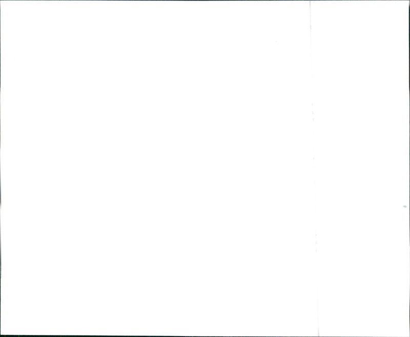 1997 Nissan 4x4 XE truck and 1997 Nissan 4x2 XE truck - Vintage Photograph