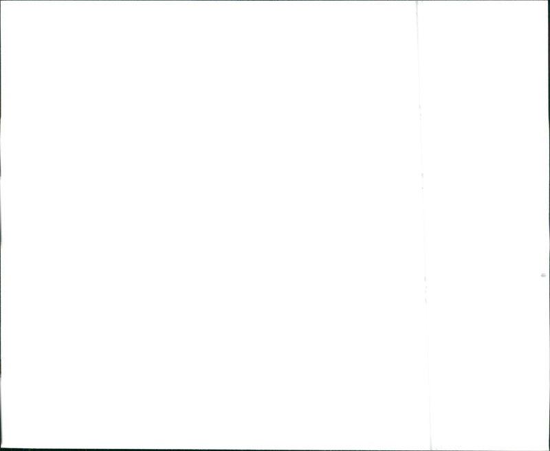 1997 Nissan Pathfinder LE and 1997 Nissan Pathfinder SE - Vintage Photograph