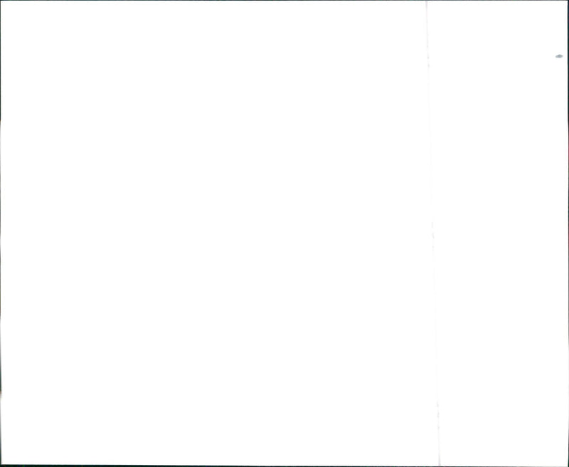 1997 Nissan 240SX SE and 1997 Nissan 240SX LE - Vintage Photograph