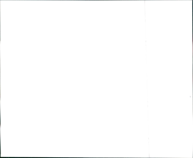 1997 Nissan Sentra GLE and 1997 Nissan Sentra GXE - Vintage Photograph