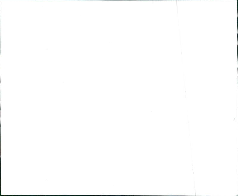 1997 Nissan Maxima GLE - Vintage Photograph