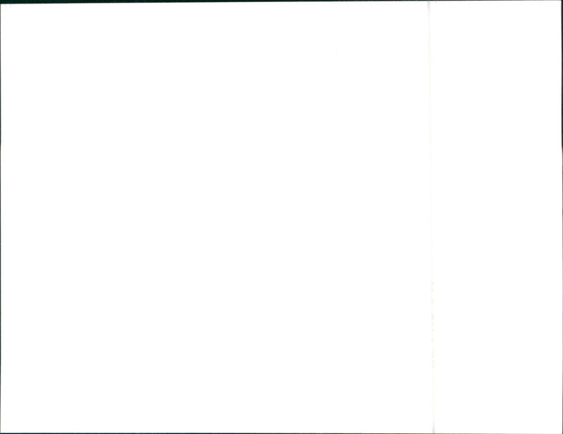 1993 Rover 600 - Vintage Photograph