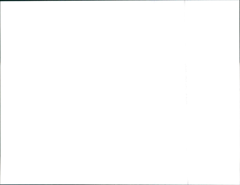 1995 Rover 200 Series - Vintage Photograph