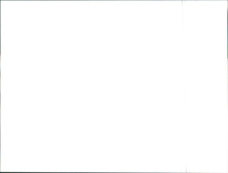 Toyota Prius - Vintage Photograph