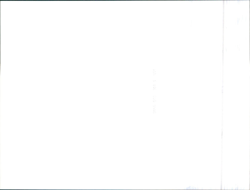 Jaguar - Vintage Photograph