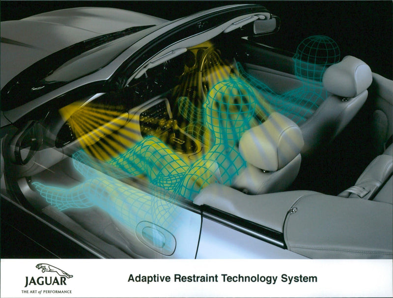 Jaguar - Vintage Photograph