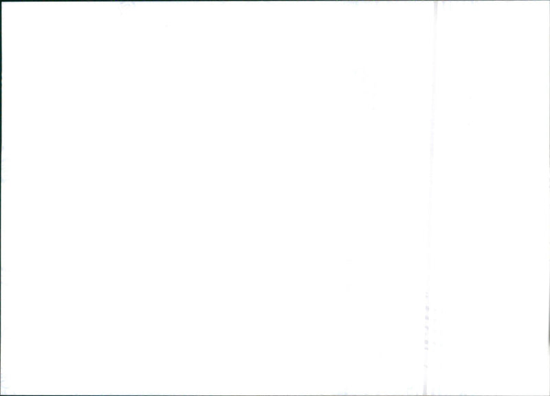 Isuzu Trooper - Vintage Photograph