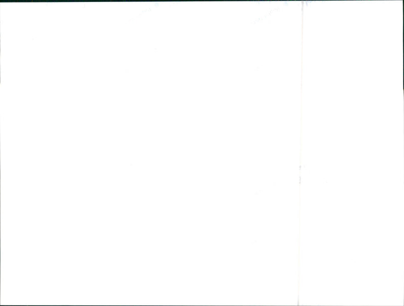 Audi - Vintage Photograph