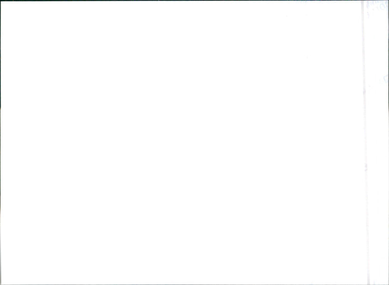 1996 Honda Legend - Vintage Photograph