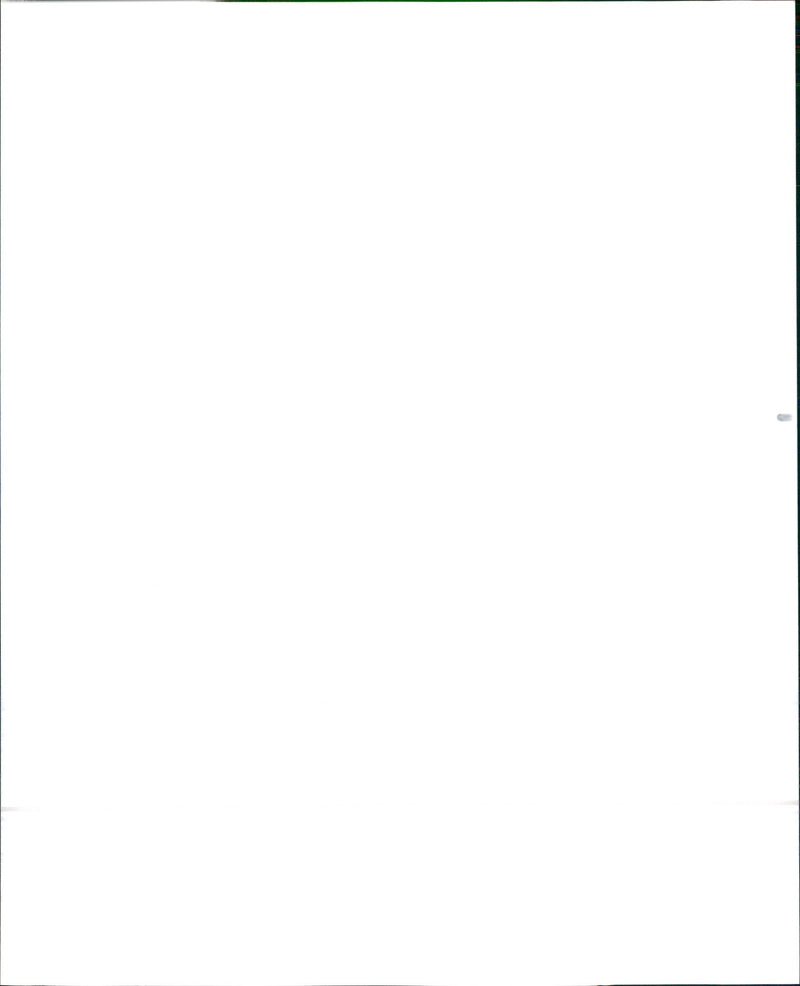 1993 Toyota T100 Pickup - Vintage Photograph