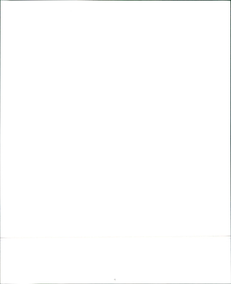 1993 Toyota 4X2 Xtracab SR5 V6 and 1993 Toyota 4X4 Compact Truck - Vintage Photograph