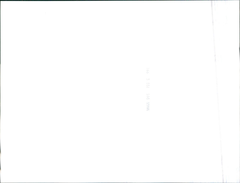 Jaguar - Vintage Photograph