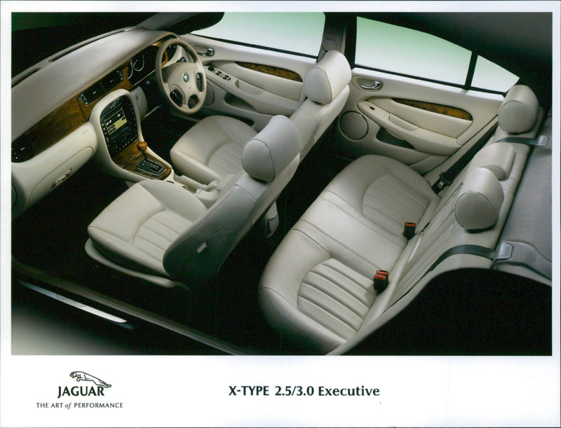 Jaguar - Vintage Photograph