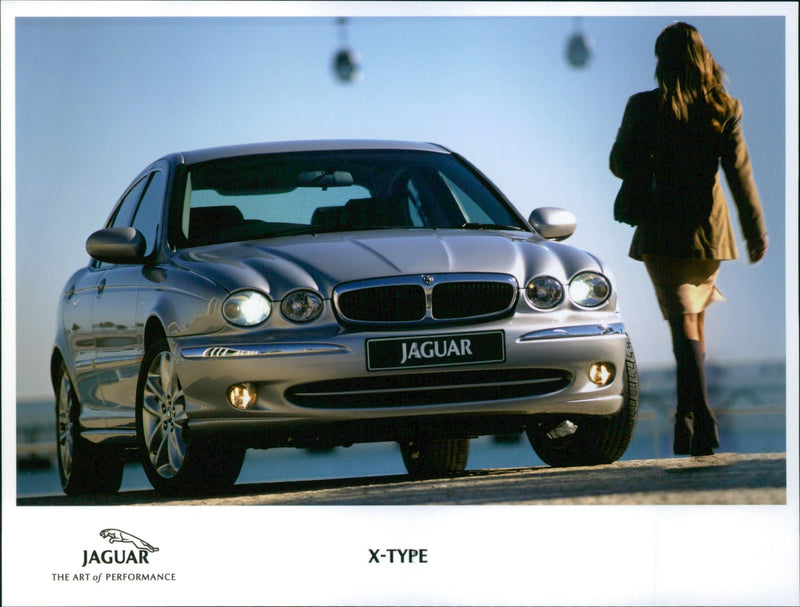 Jaguar - Vintage Photograph