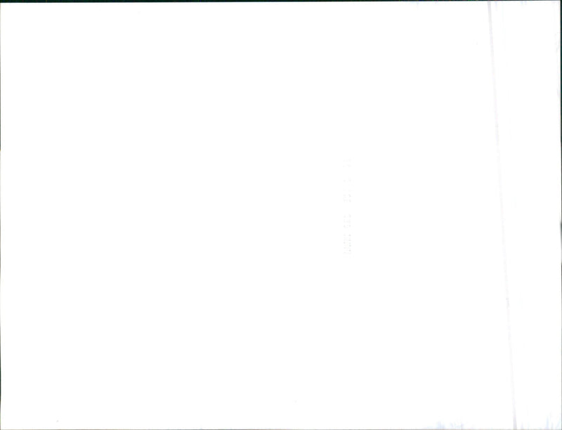 Jaguar - Vintage Photograph