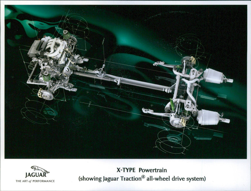 Jaguar - Vintage Photograph