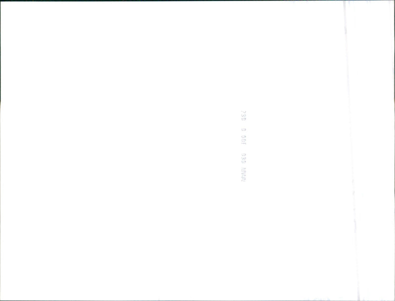 Jaguar - Vintage Photograph