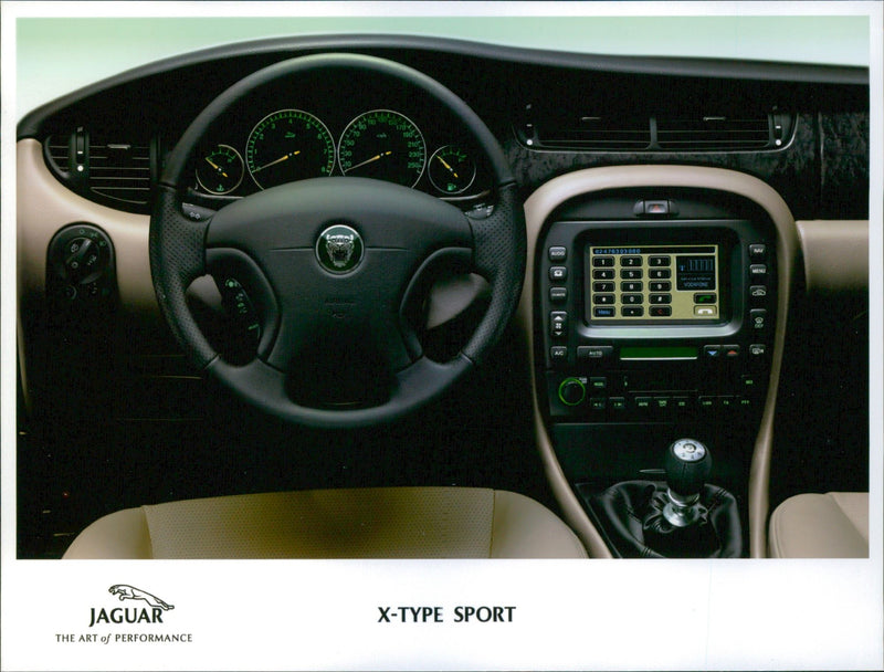 Jaguar - Vintage Photograph