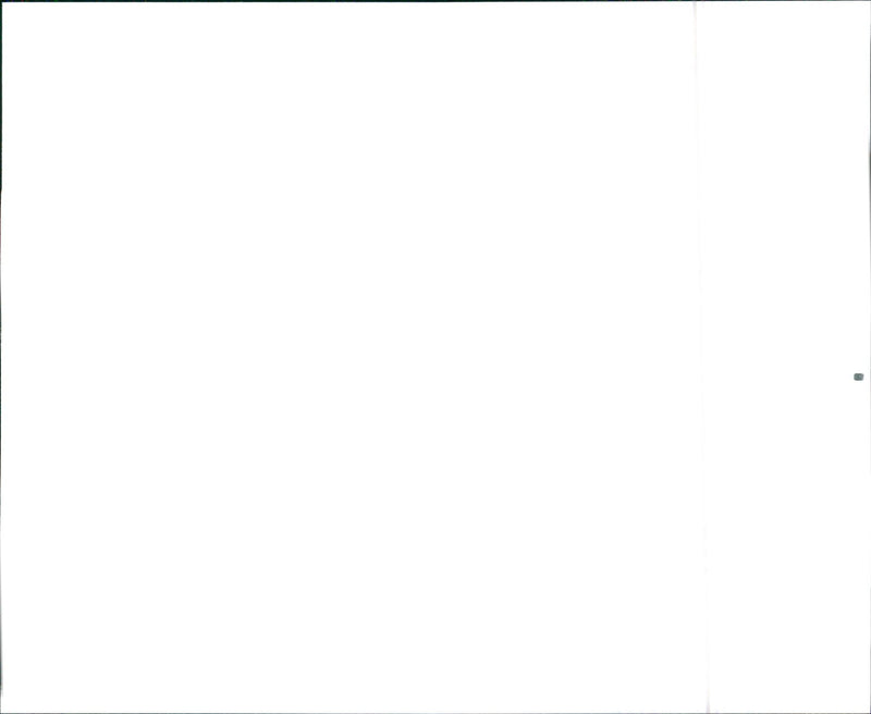 Nissan - Vintage Photograph