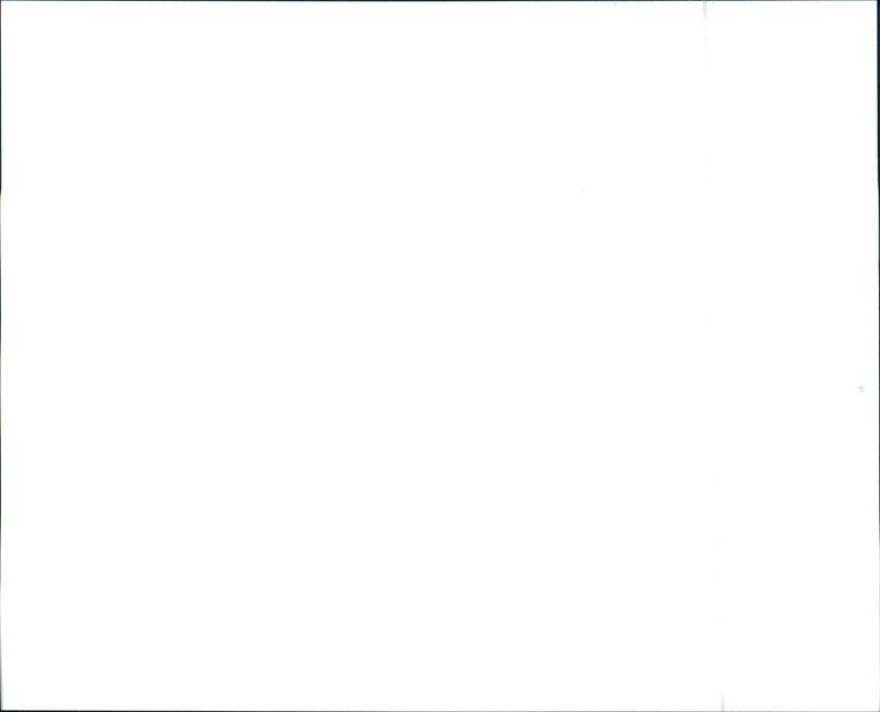 1993 Lexus LS 400 - Vintage Photograph