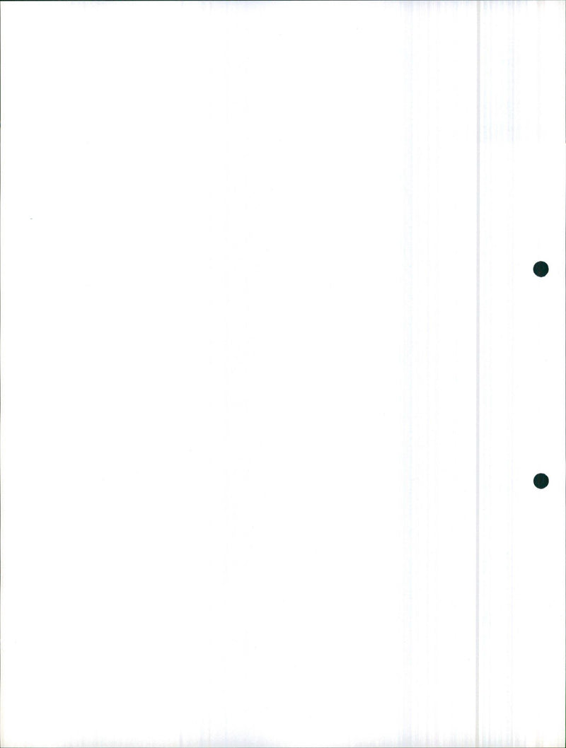 1986 Honda Legend - Vintage Photograph