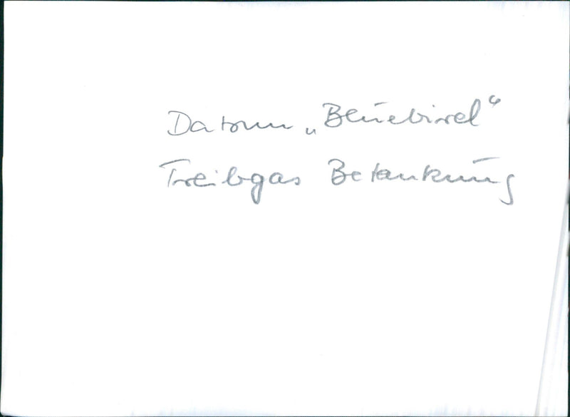 Datsun Bluebird - Vintage Photograph