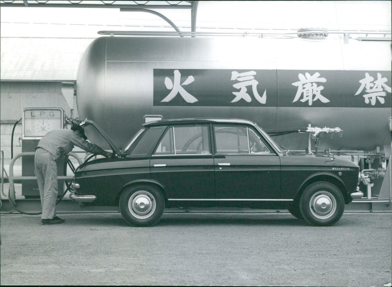 Datsun Bluebird - Vintage Photograph