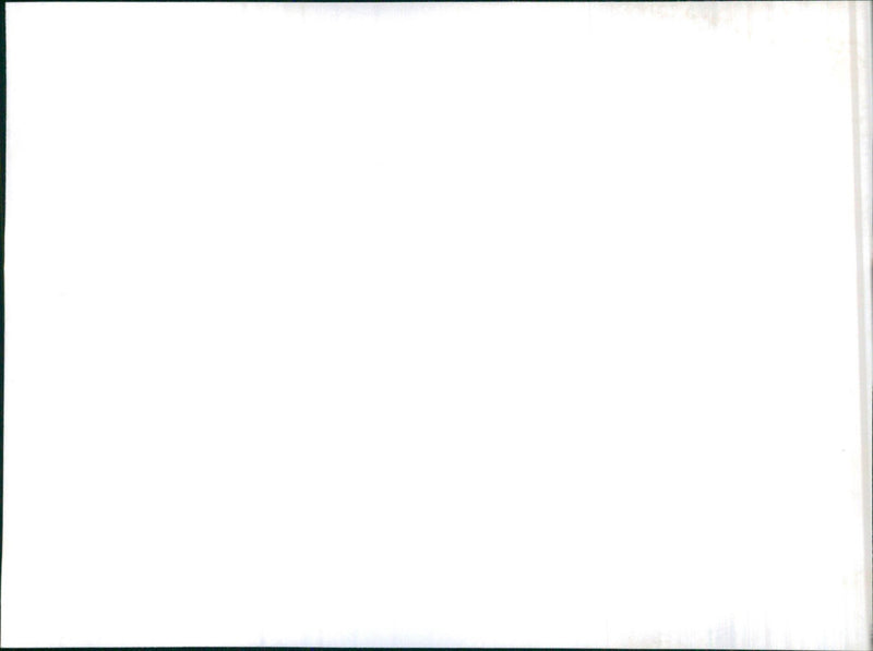 Datsun Cedric - Vintage Photograph