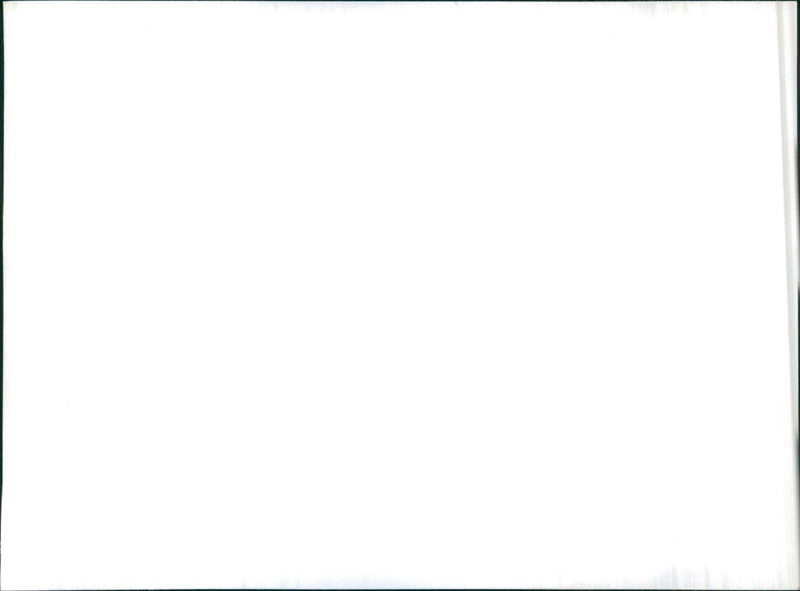 Datsun Cedric - Vintage Photograph