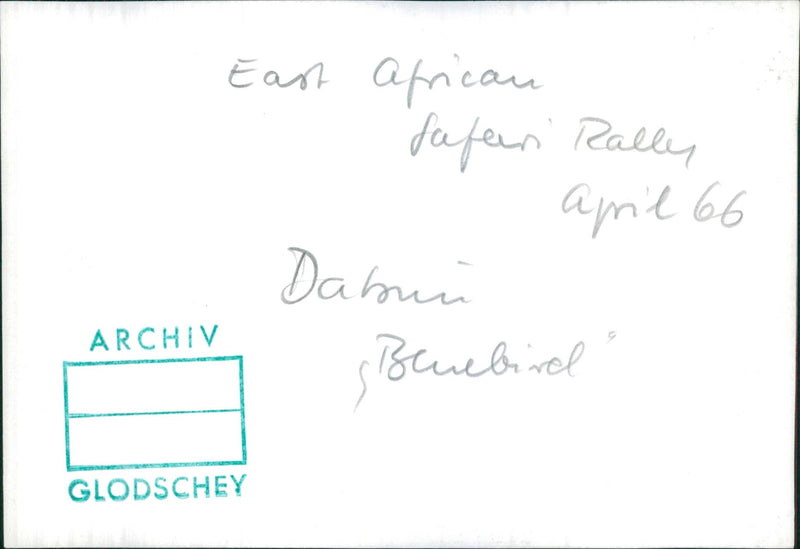 1966 Datsun Bluebird - Vintage Photograph