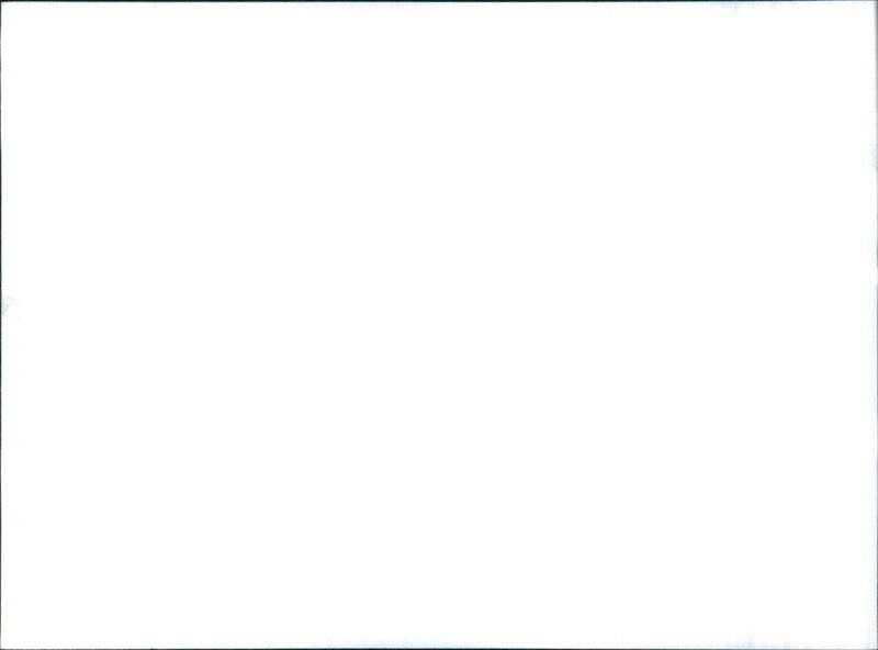 1966 Datsun Bluebird - Vintage Photograph