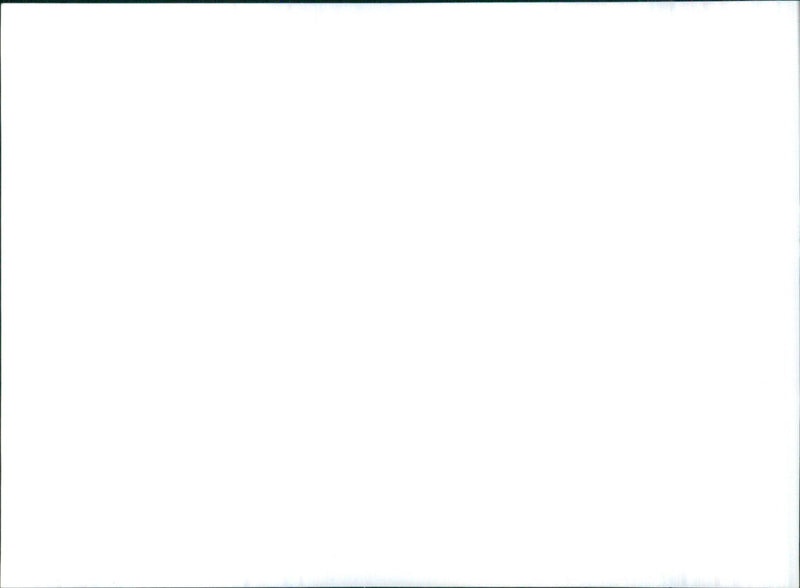 1966 Datsun Bluebird - Vintage Photograph