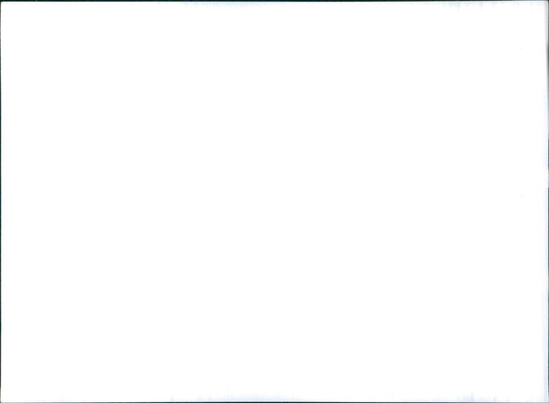 1966 Datsun Bluebird - Vintage Photograph