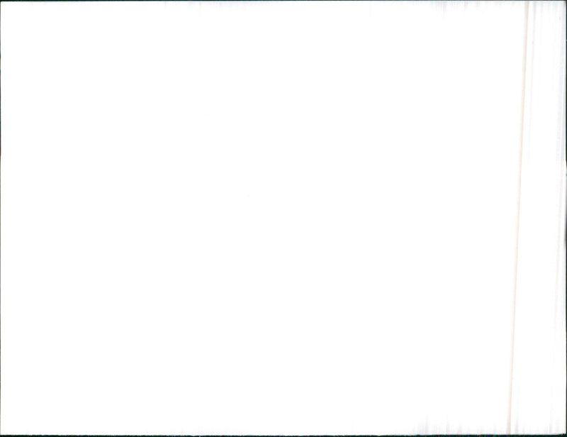 Mitsubishi MP-90 concept car - Vintage Photograph