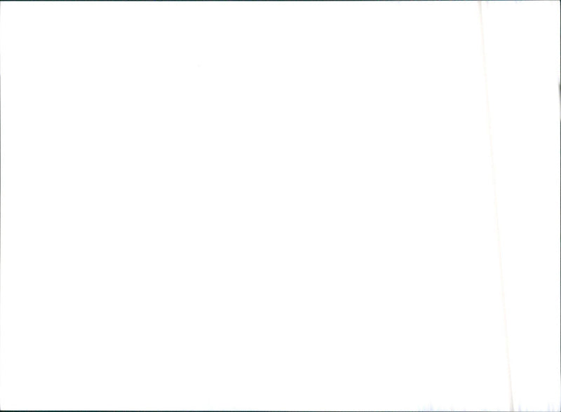 Mitsubishi van - Vintage Photograph