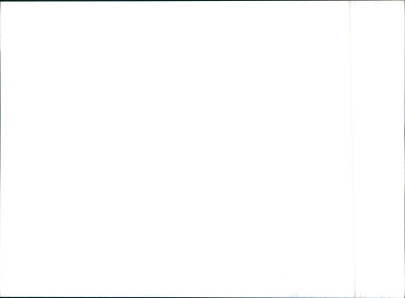 Mitsubishi L300 - Vintage Photograph