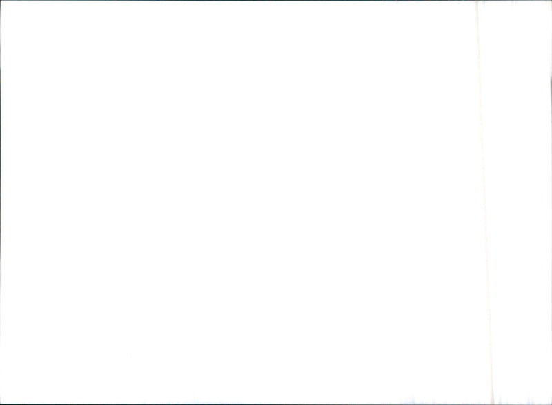 Mitsubishi van - Vintage Photograph